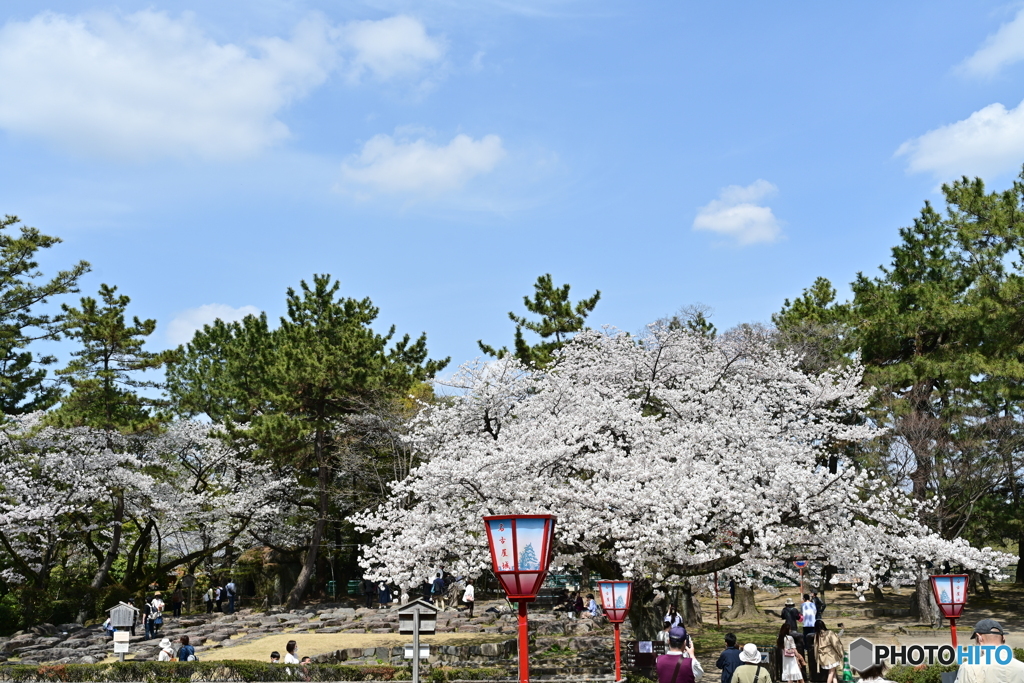 名古屋城散策⑤