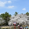 名古屋城散策⑤