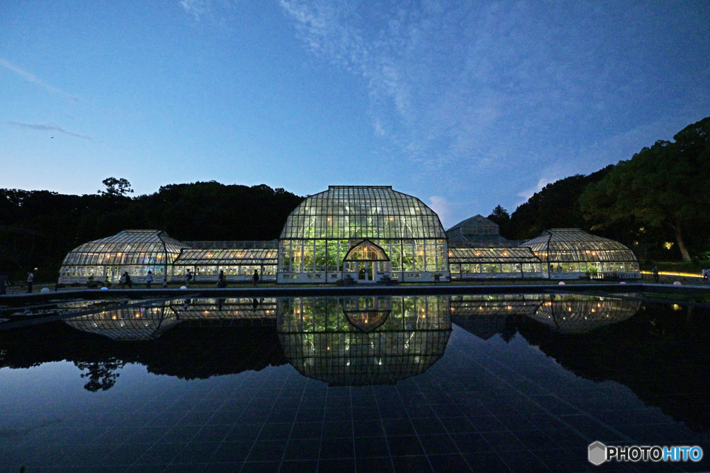 ナイトGARDEN①