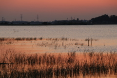 手賀沼夕景3