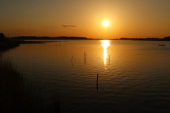 手賀沼夕景1