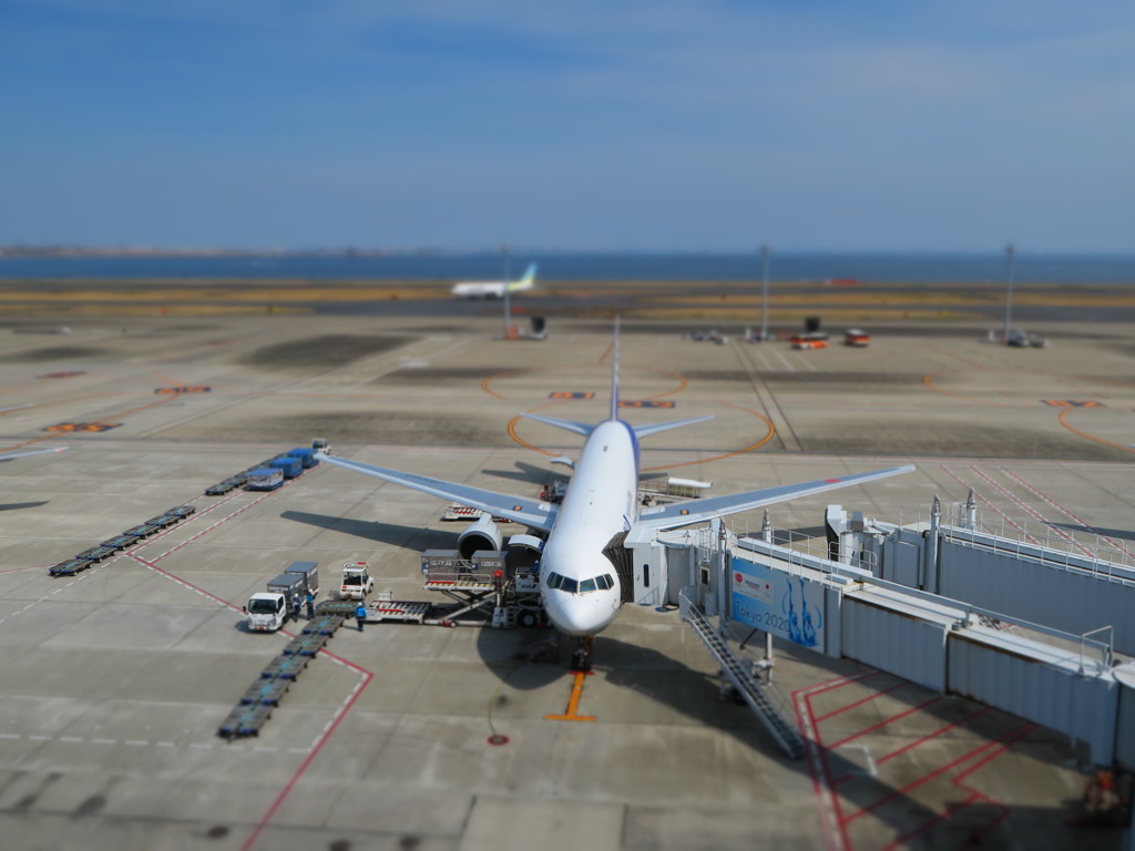 羽田空港にて