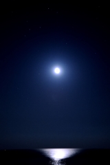 月明りの海