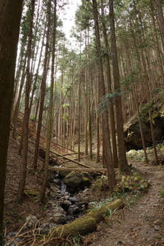 山間の路