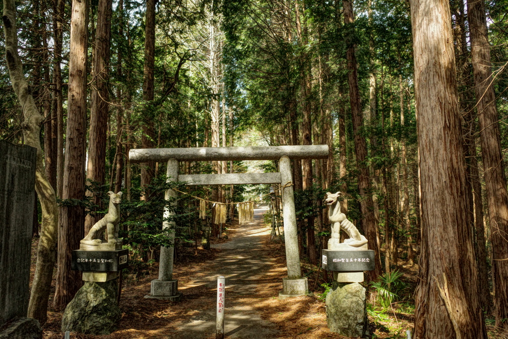 山の神社