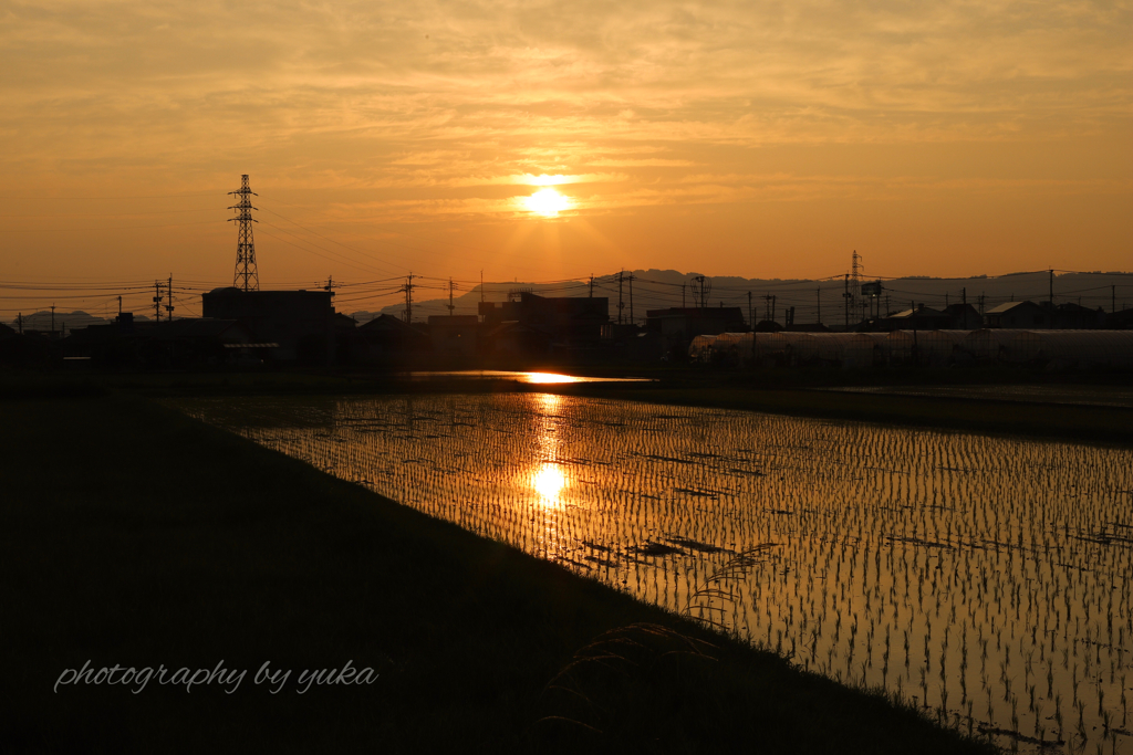 夏の始まり