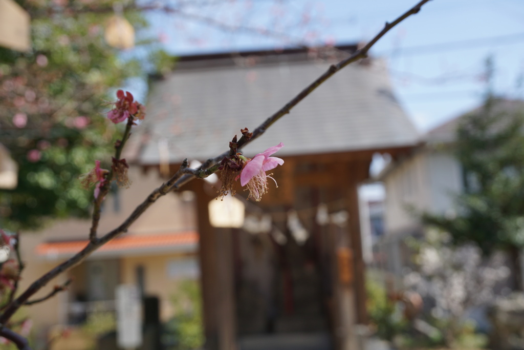 旅立ちは一人