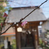 旅立ちは一人