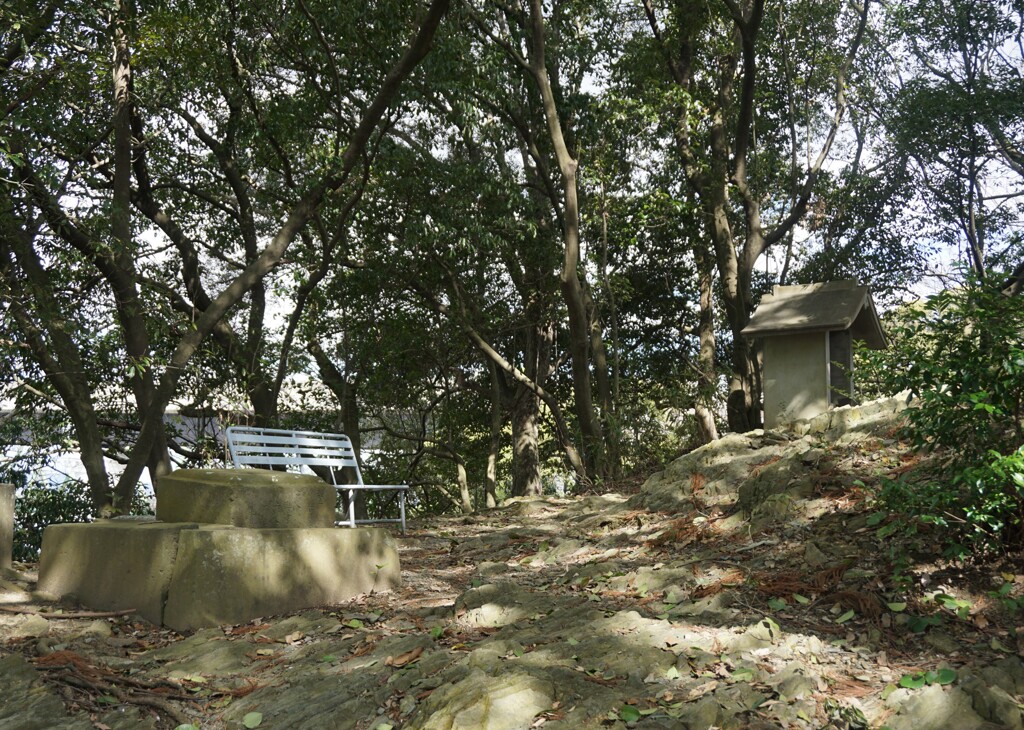 私と語り合いませんか？