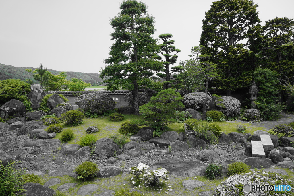 緑の景色から