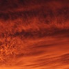 ピンクの夕日