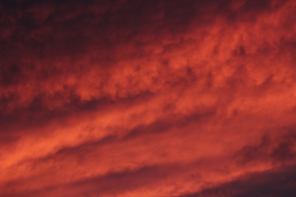 ピンクの夕日