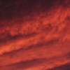 ピンクの夕日