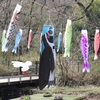 鯉のぼり　ペンギン
