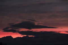 ピンクの夕日