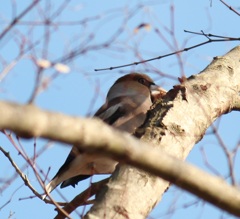 シメ（証拠写真程度ですが）