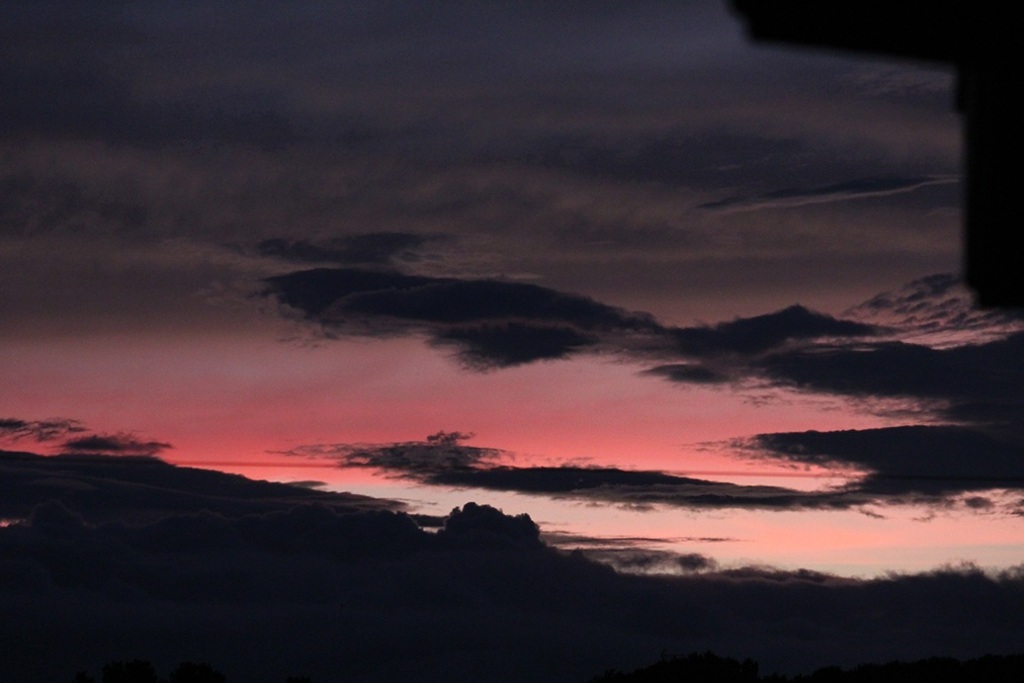 ピンクの夕日