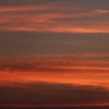 ピンクの夕日