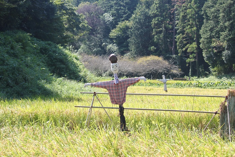 案山子