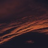 ピンクの夕日