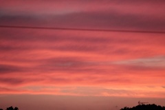 ピンクの夕陽