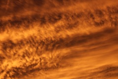 ピンクの夕日