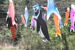 ペンギン