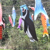 ペンギン