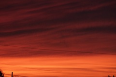 ピンクの夕日