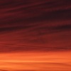 ピンクの夕日