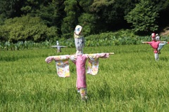 案山子