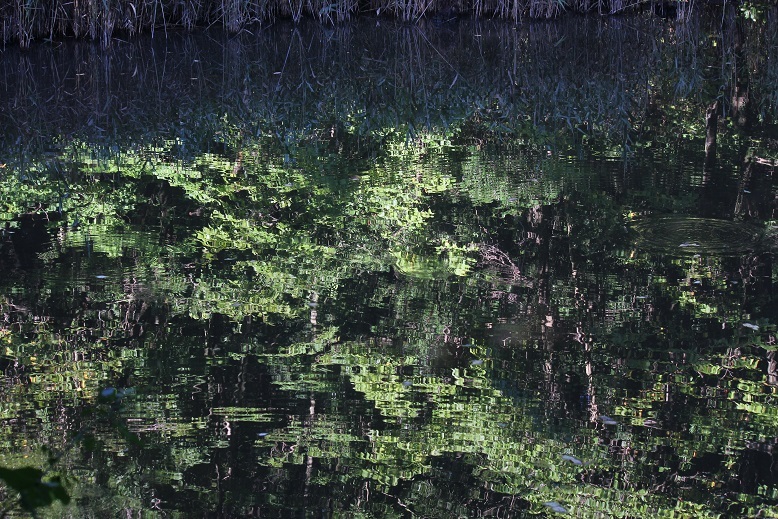 水面