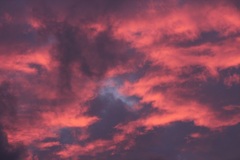 ピンクの夕日