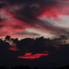 ピンクの夕日