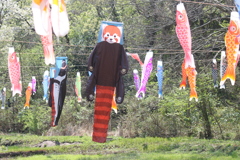 レッサーパンダ