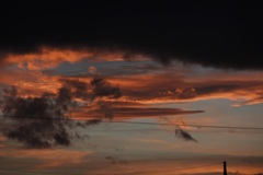 ピンクの夕日