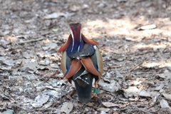 オシドリの背中　多摩動物園