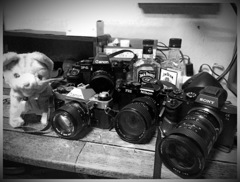 フィルム入れっぱなしだ〜