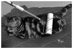 いい感じのマッサージニャン^_^