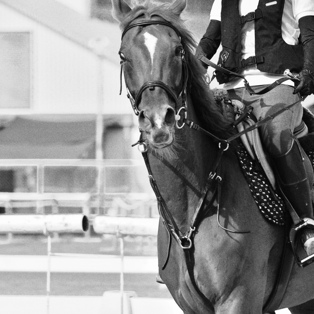 一度は跨ってみたい。