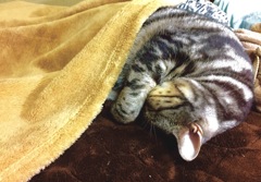 眠いのね^ ^