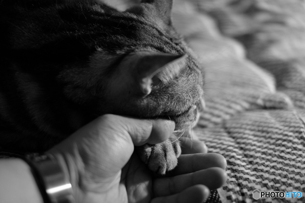 もう寝よう〜の合図(( _ _ ))..zzzZZ