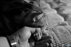 もう寝よう〜の合図(( _ _ ))..zzzZZ