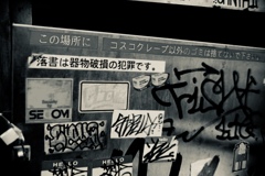 FE2にZeissでお散歩