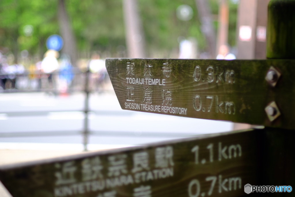 さて、どうするか〜