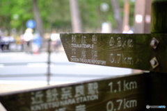 さて、どうするか〜