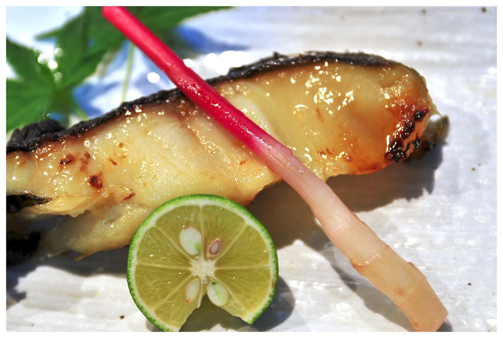 今日は銀鱈の味噌漬けで（＾ω＾）