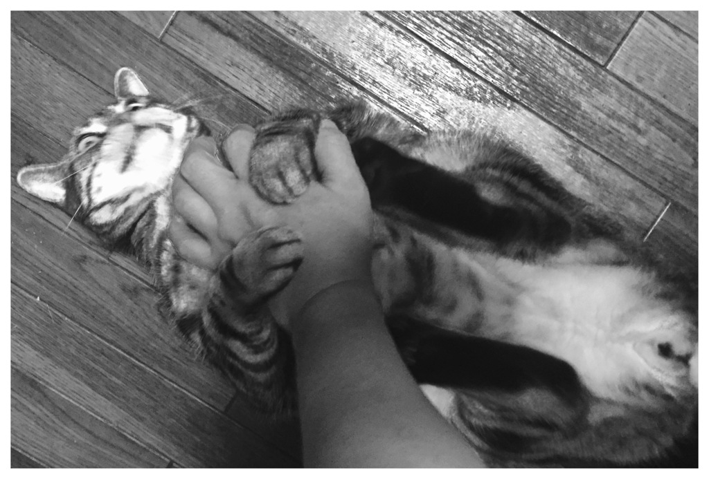 ウリャウリャ〜〜（≧∇≦）