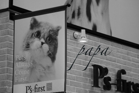 ペットショップ