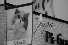 ペットショップ